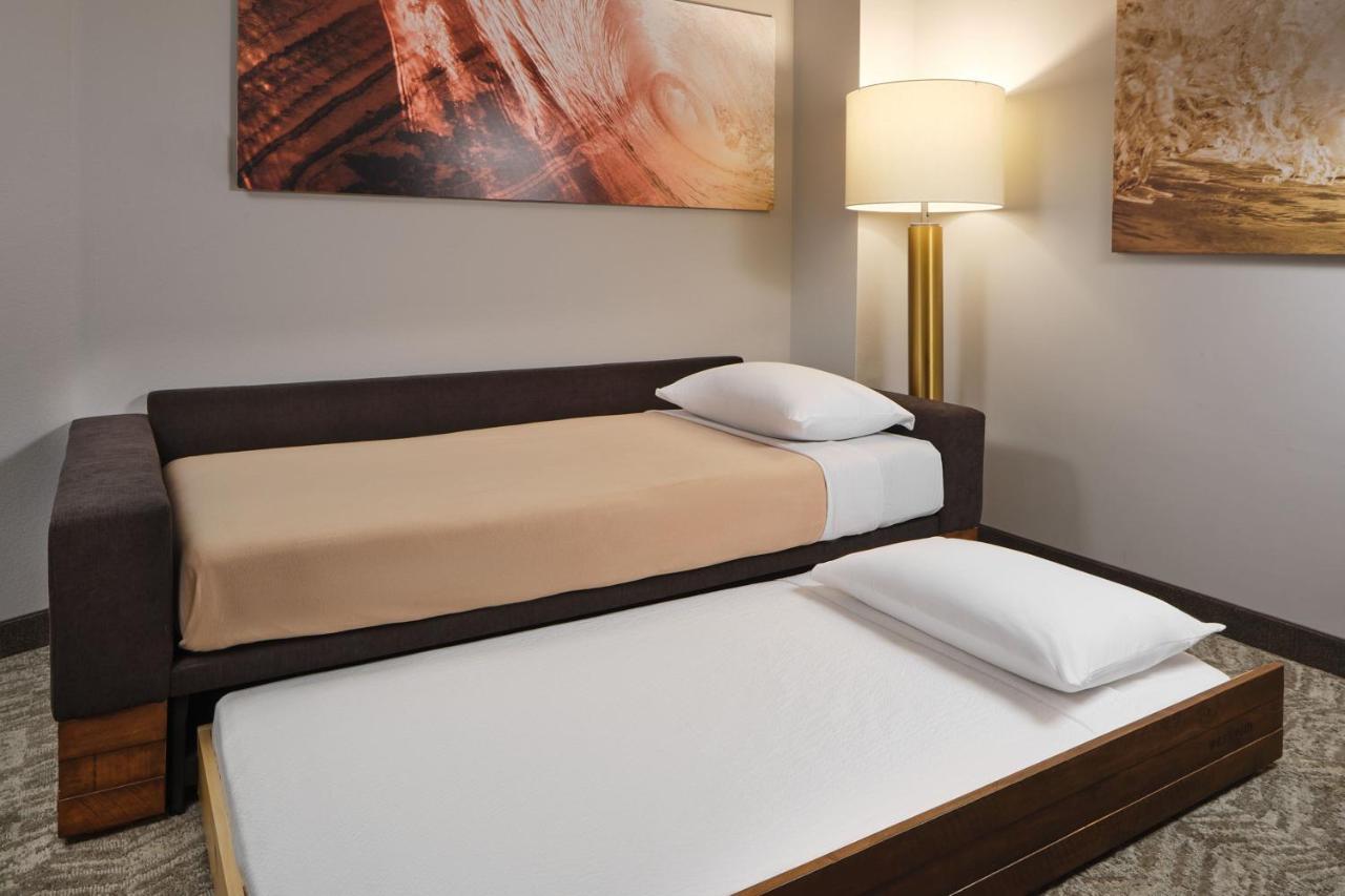 Springhill Suites By Marriott Jacksonville Baymeadows Extérieur photo